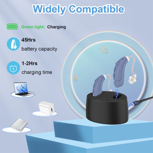 Z162TX Digital Hearing Aids Rechargeable Private Label - Billede 4