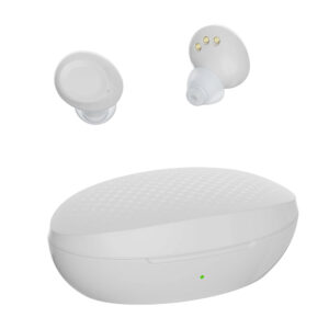 Z22A Invisible Rechargeable In Ear Hearing Aids Noise OEM